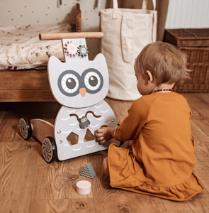 Puinen monikäyttöinen kävelytuoli - työntöaisa - lastenrattaat palikoilla - Pöllö