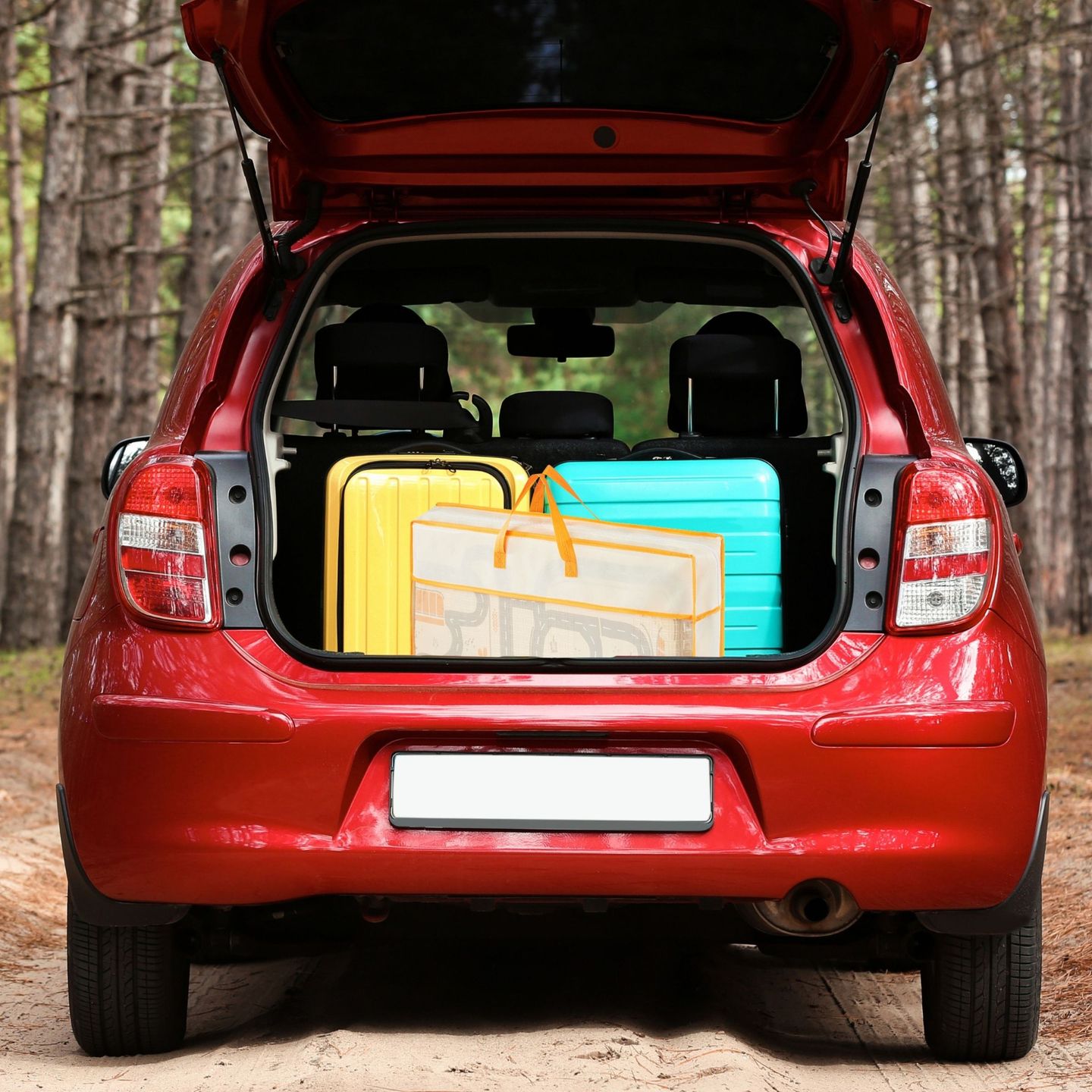 Kaksipuolinen taitettava vaahtomuovimatto 180 x 120 x 1 cm - Magic Forest/Autumn Streets - boho