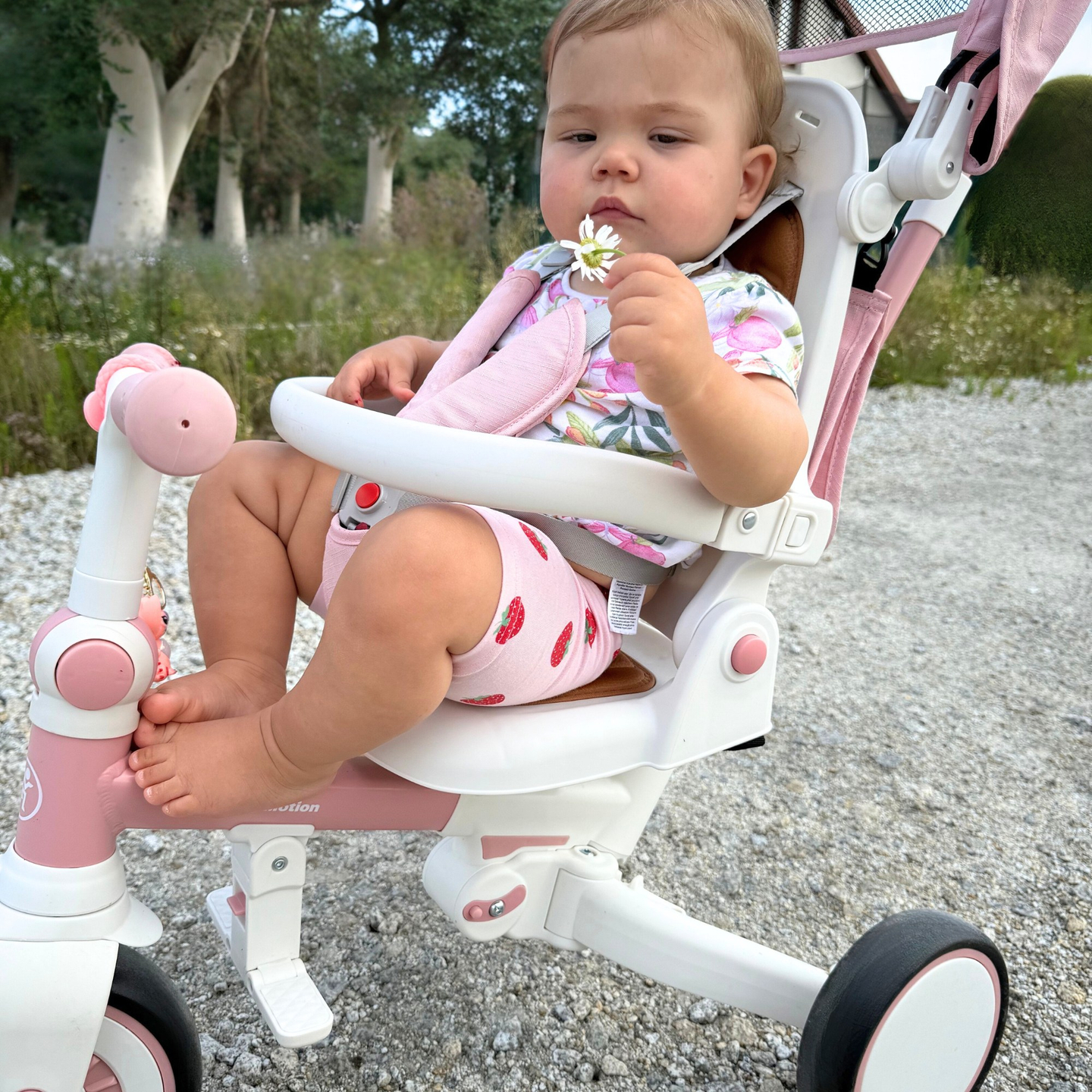 8in1 monitoiminen kolmipyörä TOBI FOREST - vaaleanpunainen