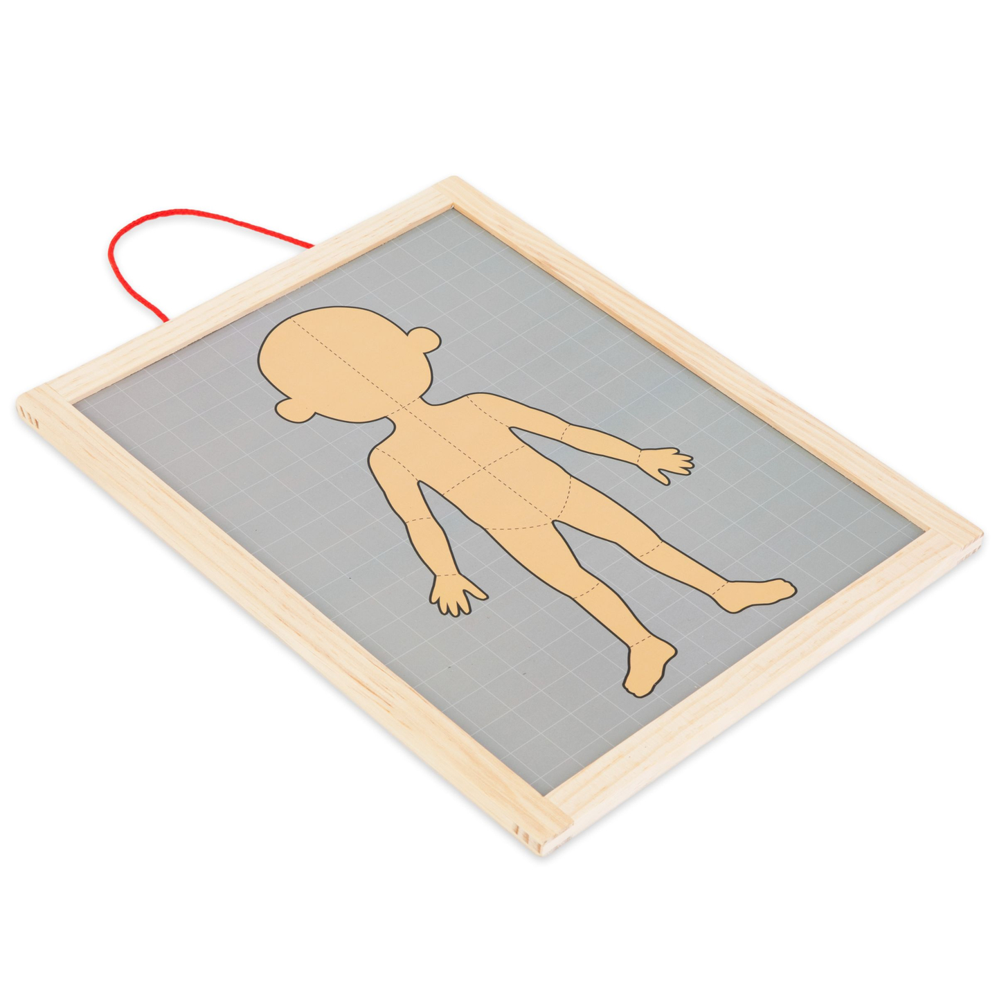 Magneettipalapelit - Anatomia - Ihmiskeho - Ihmiskeho